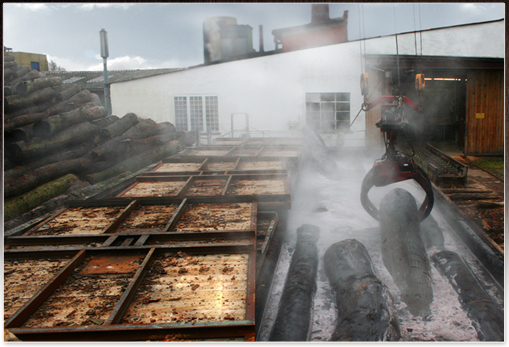 crane hoisting a log in the muffling pit
